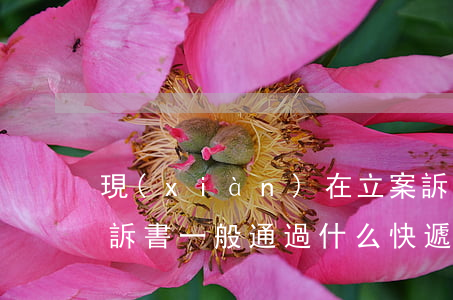 現(xiàn)在立案訴訟狀可以郵寄嗎(起訴書一般通過什么快遞郵寄)