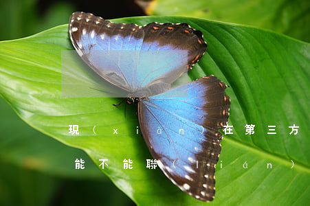 現(xiàn)在第三方催收敢上門嗎(催收能不能聯(lián)系第三方)