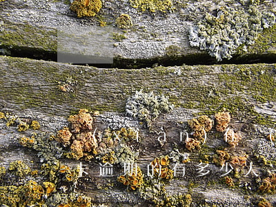 現(xiàn)在網(wǎng)貸和信用卡逾期的有多少人-現(xiàn)在網(wǎng)貸和信用卡逾期的有多少人被起訴