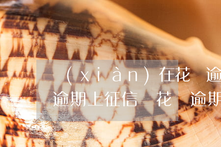 現(xiàn)在花唄逾期征信能改嗎(花唄逾期上征信嗎?花唄逾期影響征信嗎)