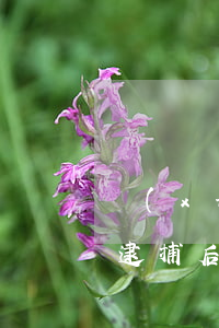 現(xiàn)在請律師可以見到當事人嗎(逮捕后律師可以見當事人嗎?)