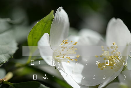 現(xiàn)在負(fù)債10萬 怎么辦呢-現(xiàn)在負(fù)債10萬 怎么辦呢