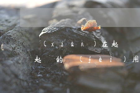 現(xiàn)在起訴費(fèi)是多少(起訴的費(fèi)用一般是多少怎么起訴)