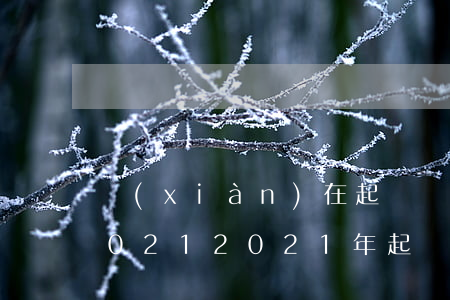 現(xiàn)在起訴離婚要走什么程序2021(2021年起訴離婚申請流程)