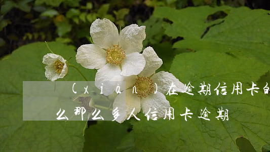 現(xiàn)在逾期信用卡的人多嗎(為什么那么多人信用卡逾期)