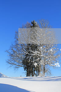 現(xiàn)在逾期最嚴(yán)重的中國地區(qū)浦發(fā)-