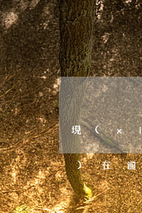 現(xiàn)在逾期的人多(現(xiàn)在逾期的人多不多)