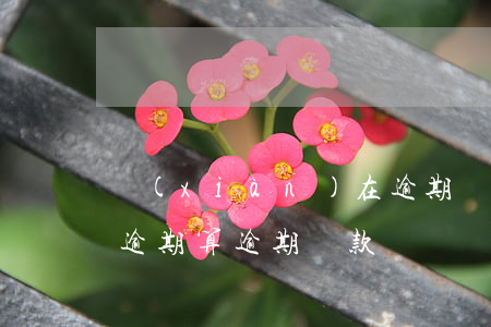 現(xiàn)在逾期貸款利率是多少(利息逾期算逾期貸款嗎)