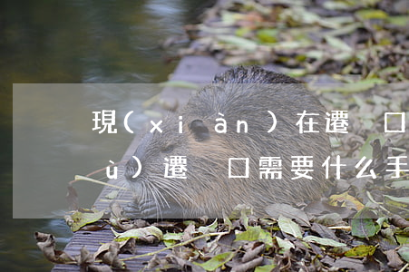 現(xiàn)在遷戶口需要什么手續(xù)(遷戶口需要什么手續(xù)?)
