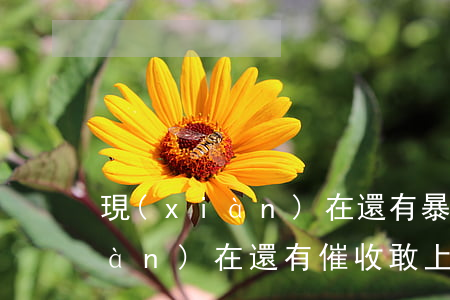 現(xiàn)在還有暴力催收嗎(現(xiàn)在還有催收敢上門(mén)嗎)