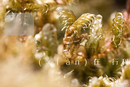 現(xiàn)在銀行利息是多少