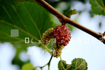 現(xiàn)在銀行可以消除逾期嗎（銀行逾期咋消）