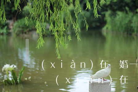 現(xiàn)在離婚一方不同意可以離婚嗎(現(xiàn)在離婚一方不同意可以離婚嗎)