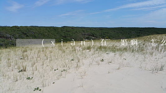 現(xiàn)在離婚啊車怎么辦