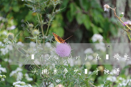 現(xiàn)在離婚要多少錢(準備要離婚大概要多少錢才能得)