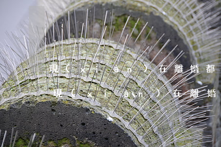 現(xiàn)在離婚都是女方提出(為什么現(xiàn)在離婚都是女方提出的)