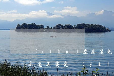 現(xiàn)在高速免費(fèi)了嗎(高速又要免費(fèi)了嗎)