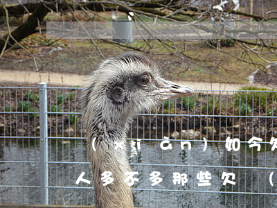 現(xiàn)如今欠網(wǎng)貸的人多不多(那些欠網(wǎng)貸的人都怎么樣了)