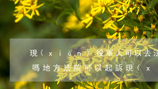 現(xiàn)役軍人可以去法院起訴離婚嗎(地方法院可以起訴現(xiàn)役軍人嗎)