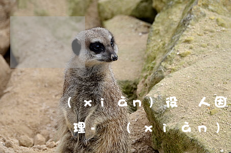 現(xiàn)役軍人因公信用卡逾期怎么處理-現(xiàn)役軍人因公信用卡逾期怎么處理的