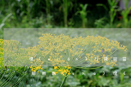 現(xiàn)行貸款當(dāng)前逾期期數(shù)(現(xiàn)行貸款當(dāng)前逾期期數(shù))