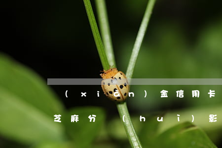 現(xiàn)金信用卡逾期影響芝麻分嗎(芝麻分會(huì)影響辦信用卡嗎)