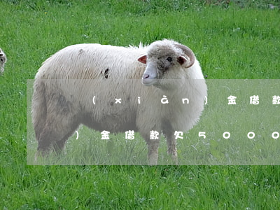 現(xiàn)金借款欠五千(現(xiàn)金借款欠5000會(huì)不會(huì)上門)