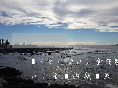 現(xiàn)金借款逾期一天（現(xiàn)金貸逾期兩天）