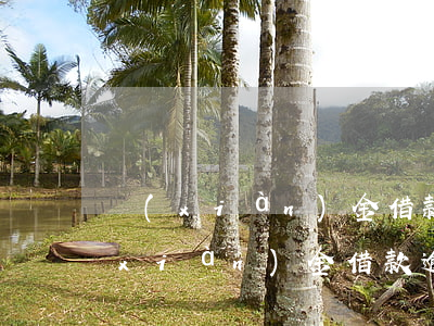 現(xiàn)金借款逾期會被起訴嗎(現(xiàn)金借款逾期多久會被起訴)