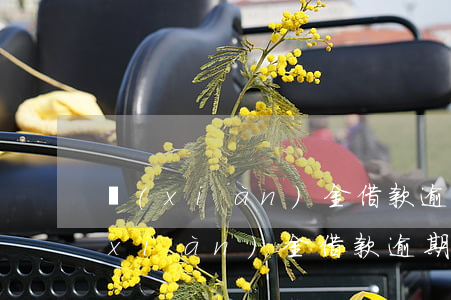 現(xiàn)金借款逾期芝麻信用卡(現(xiàn)金借款逾期芝麻信用卡還能用嗎)
