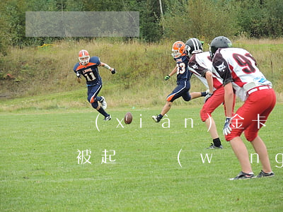 現(xiàn)金卡網(wǎng)貸逾期被起訴(網(wǎng)貸逾期被告)