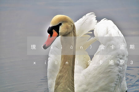 現(xiàn)金卡逾期3年怎么還款(現(xiàn)金卡逾期3年了想還款找不到聯(lián)系方式)