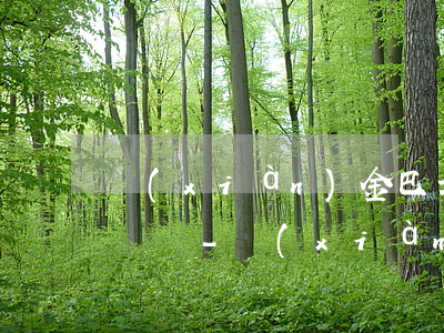 現(xiàn)金巴士一千塊錢逾期會被起訴嗎-現(xiàn)金巴士一千塊錢逾期會被起訴嗎知乎