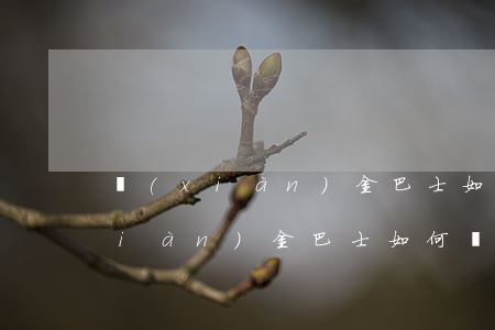 現(xiàn)金巴士如何只還本金(現(xiàn)金巴士如何還款)