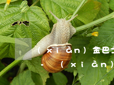 現(xiàn)金巴士欠400多天上征信嗎-現(xiàn)金巴士欠400多天上征信嗎有影響嗎