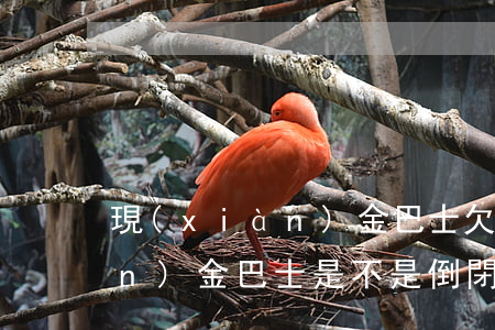 現(xiàn)金巴士欠一年多(現(xiàn)金巴士是不是倒閉了,我都逾期三天了)