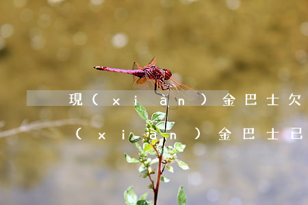 現(xiàn)金巴士欠了500一年了(現(xiàn)金巴士已經(jīng)逾期四年了是不是就忘了?)