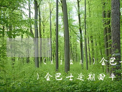 現(xiàn)金巴士要還嗎（現(xiàn)金巴士逾期四年了收多少費(fèi)用）