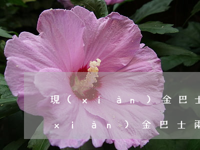 現(xiàn)金巴士逾期8天后還款(現(xiàn)金巴士兩年后突然叫我還款)