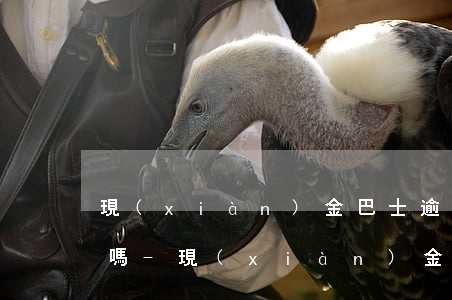 現(xiàn)金巴士逾期一天就不能貸了嗎-現(xiàn)金巴士逾期一天就不能貸了嗎為什么