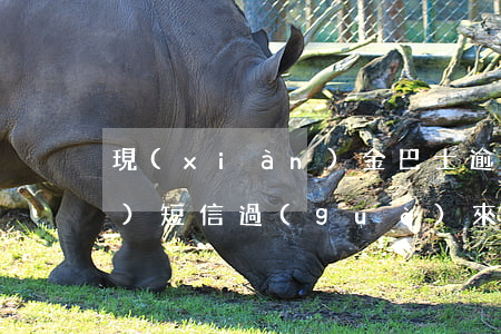 現(xiàn)金巴士逾期三年了發(fā)短信過(guò)來(lái)催款-現(xiàn)金巴士逾期三年了發(fā)短信過(guò)來(lái)催款還要還嗎