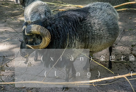現(xiàn)金巴士逾期借藍(lán)領(lǐng)貸(現(xiàn)金巴士逾期借藍(lán)領(lǐng)貸)