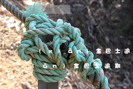 現(xiàn)金巴士逾期轟炸微信(現(xiàn)金巴士逾期轟炸微信)