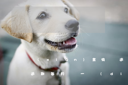 現(xiàn)金快貸逾期2天能借嗎(快貸逾期每月還一點(diǎn)可以嗎)