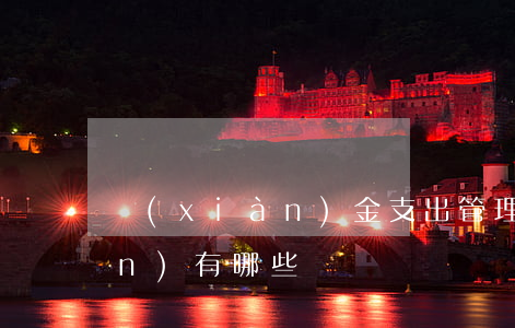 現(xiàn)金支出管理的要點(diǎn)有哪些