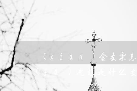 現(xiàn)金支票怎么取錢支票的簽發(fā)流程是什么（支票的記載事項）