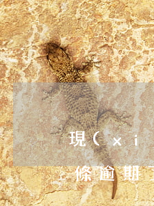 現(xiàn)金白條逾期3天還可以借(白條逾期了兩天第三天還了沒事吧)