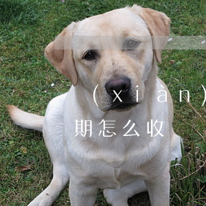 現(xiàn)金白條逾期一天費用(白條逾期怎么收費)
