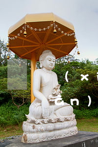 現(xiàn)金白條逾期會怎樣(現(xiàn)金白條逾期會怎樣)