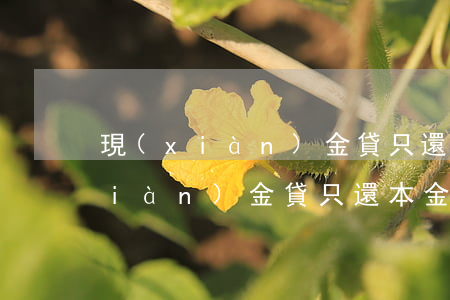 現(xiàn)金貸只還本金可以嗎(現(xiàn)金貸只還本金可以嗎)